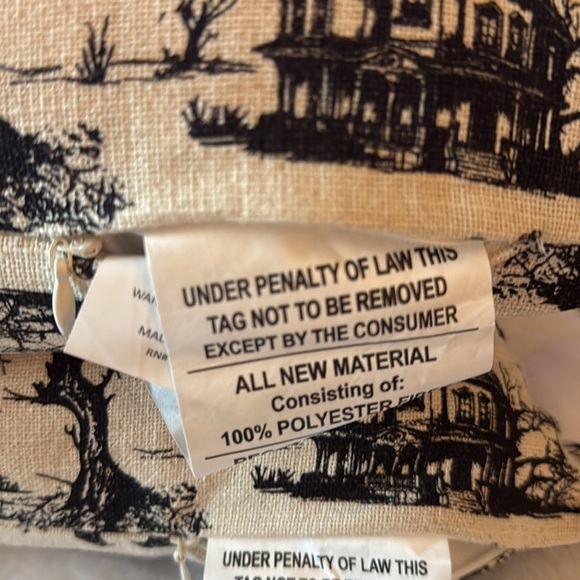 RACHEL ZOE 2PK Halloween bat haunted house throw pillow 20x20 🏚️👻🦇 - Picture 3 of 8